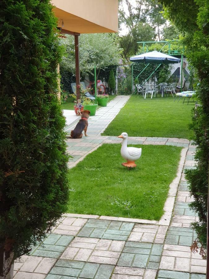 Casa Lucky Hotell Rîşnov Exteriör bild